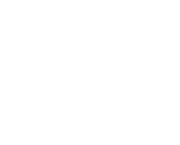 Petting the cat